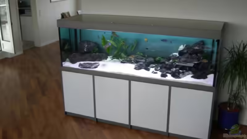 Aquarium Hauptansicht von Becken 6090 von Eveline Wiss (1)