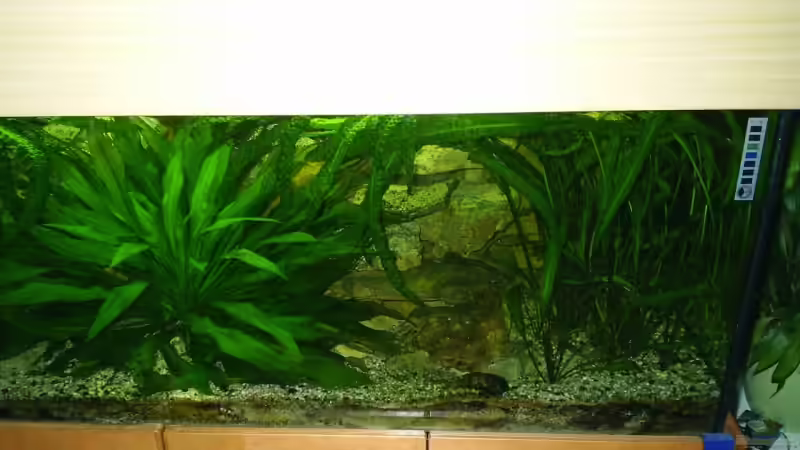 Aquarium Hauptansicht von Becken 6113 von Ulf Bruder (1)