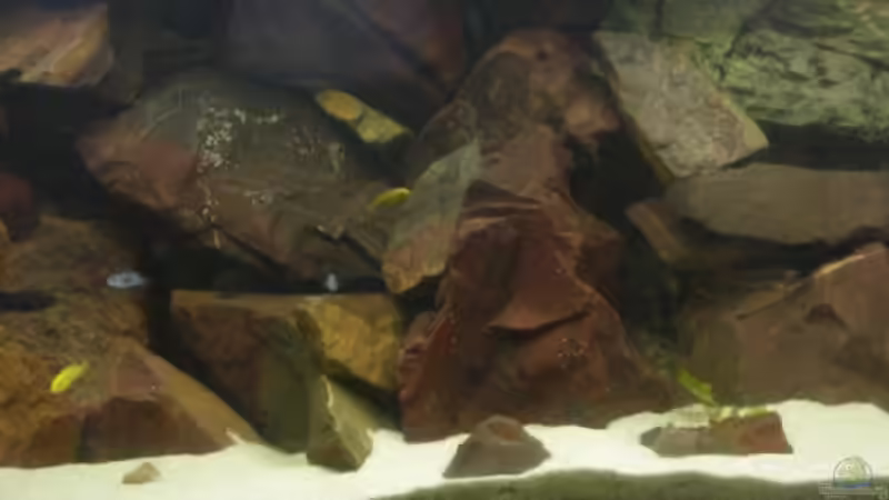 Aquarium Hauptansicht von Becken 6135 von MDenzer (1)