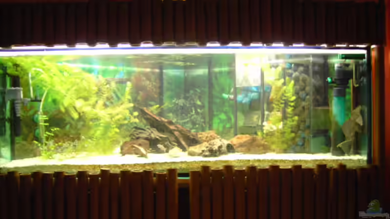 Aquarium Hauptansicht von Becken 6214