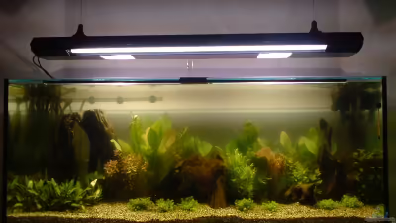 Aquarium Hauptansicht von Becken 6324 von Robert Walter (1)