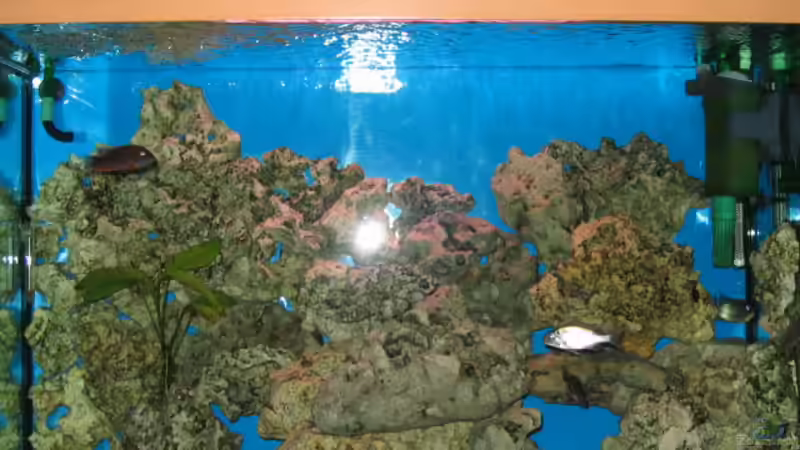 Aquarium Hauptansicht von Becken 641