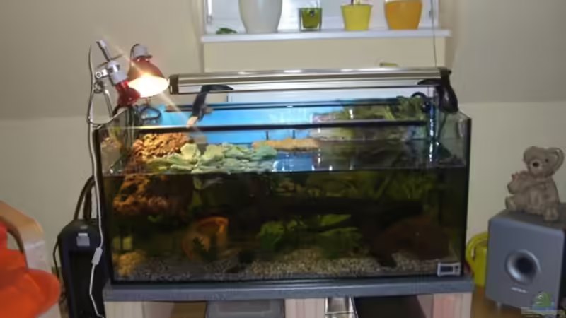 Aquarium Hauptansicht von Becken 6468 von Marco Röhrig (1)