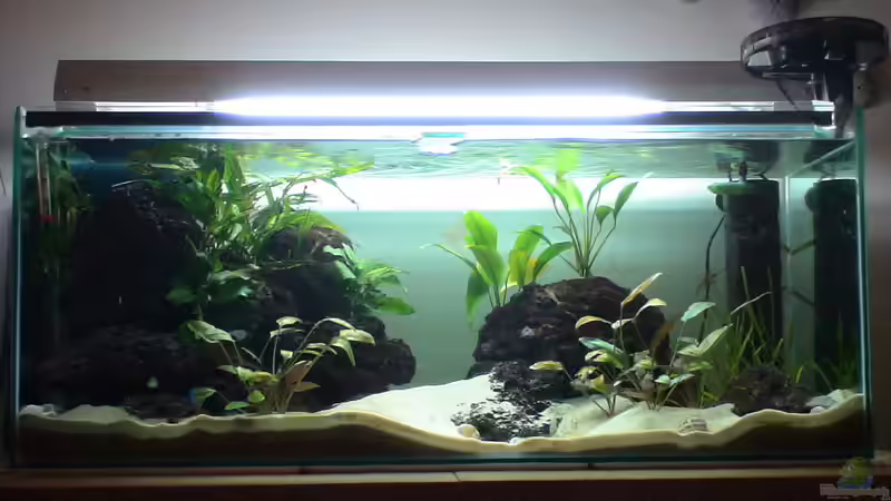 Aquarium Hauptansicht von Becken 6698 von Matthias Huber (1)