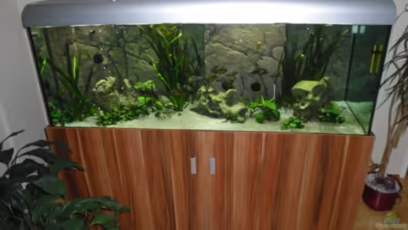 Aquarium Hauptansicht von Becken 6888 von Oliver Hofherr (1)