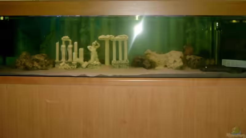 Aquarium Hauptansicht von Becken 697