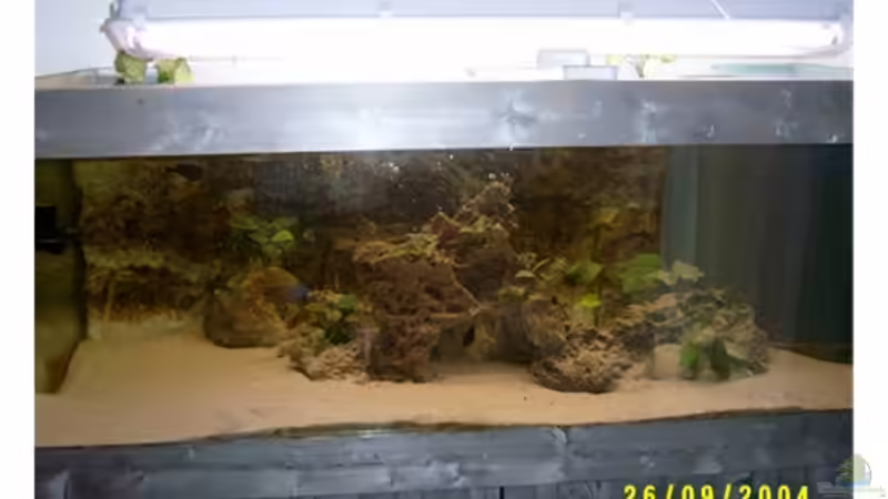 Aquarium Hauptansicht von Becken 703 von Philipp Schmid (1)