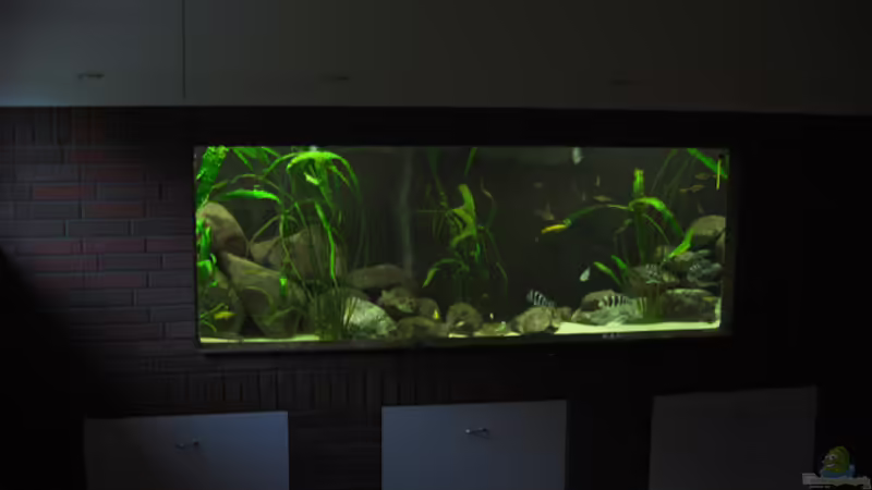 Aquarium Hauptansicht von Becken 716