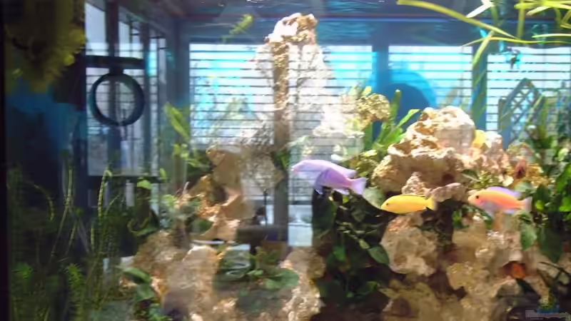 Aquarium Hauptansicht von Becken 7317 von FTE (1)