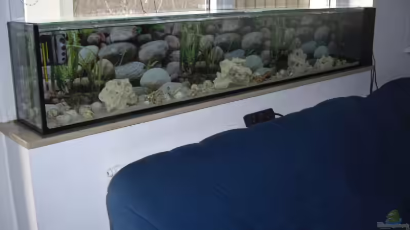 Aquarium Hauptansicht von Becken 7331 von frAnQy