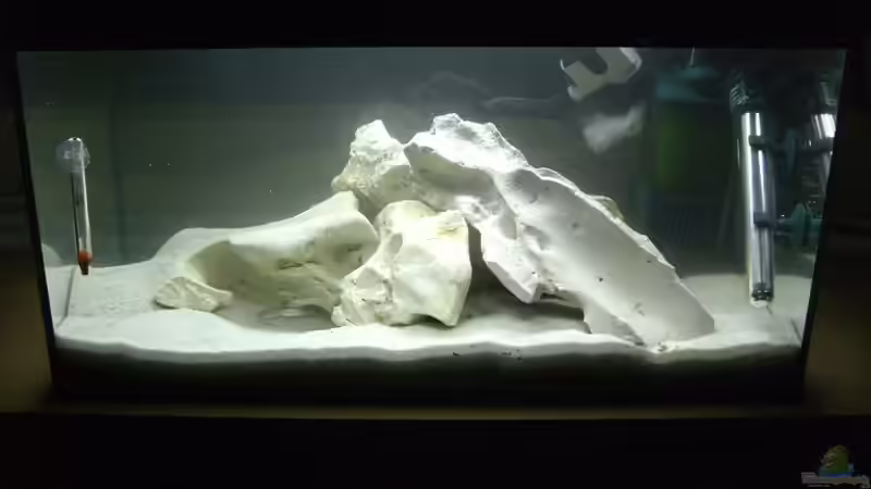 Aquarium Hauptansicht von Becken 7360 von Stefan Großmann (1)