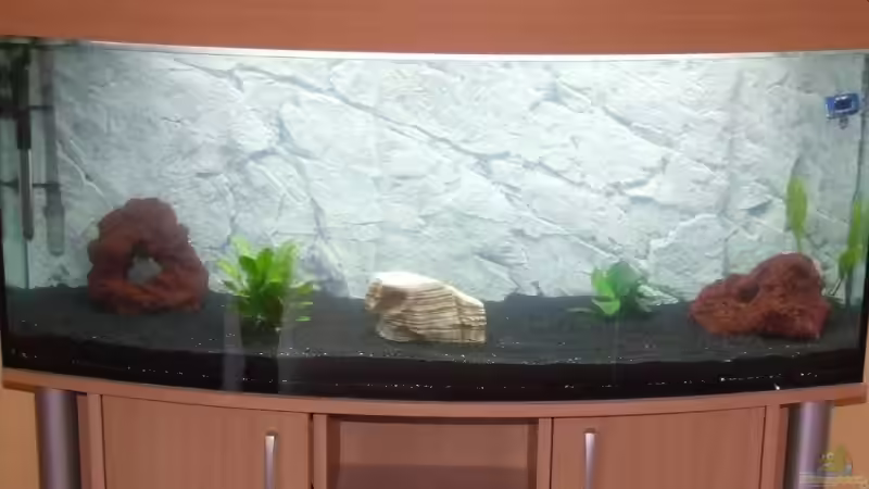 Aquarium Hauptansicht von Becken 7411