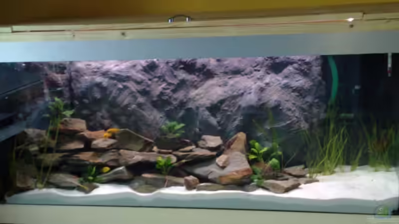 Aquarium Hauptansicht von Becken 7545