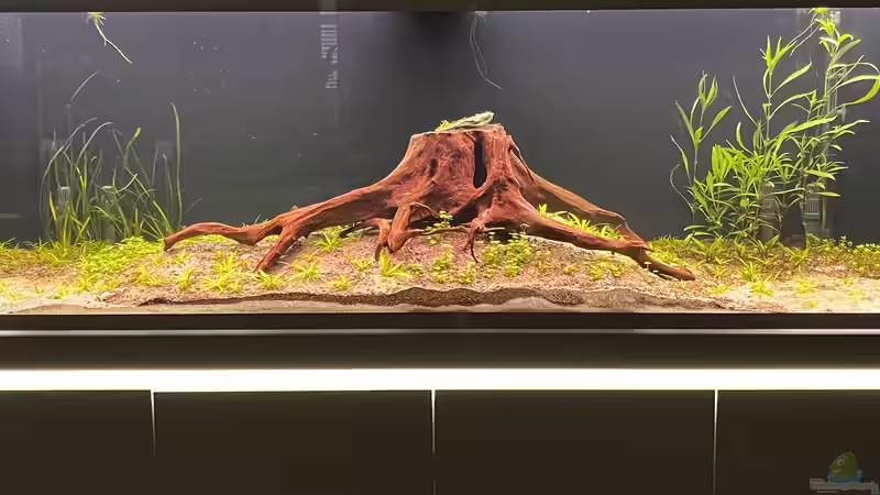 Aquarium Hauptansicht von Becken 76148