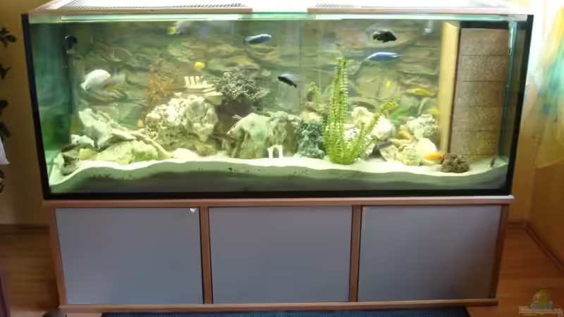 Aquarium Hauptansicht von Becken 769
