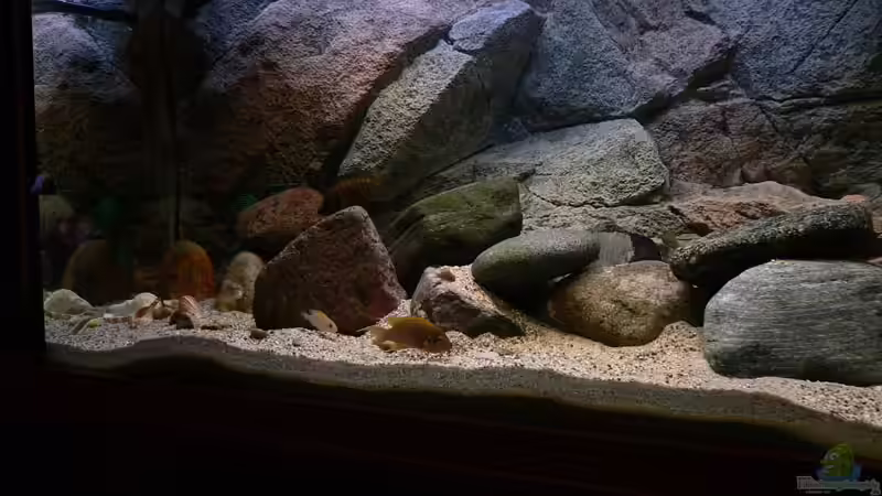 Aquarium Hauptansicht von Becken 771 von Oliver Vieth (1)