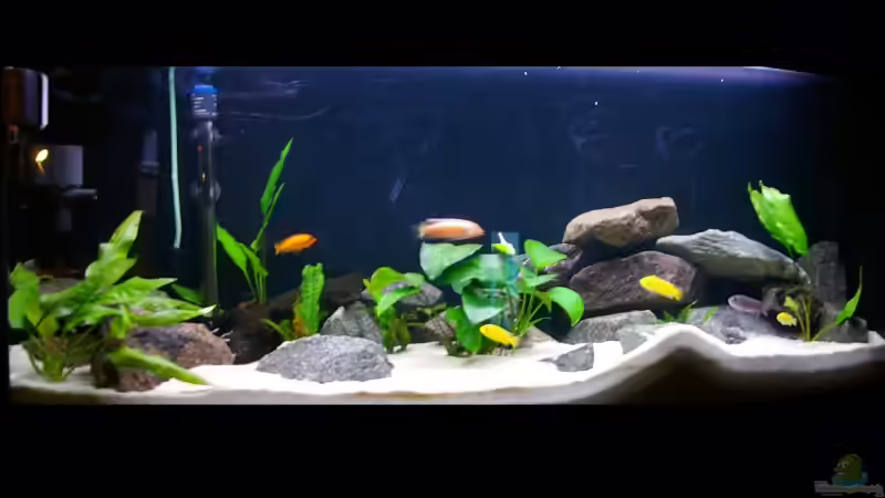 Aquarium Hauptansicht von Becken 7775