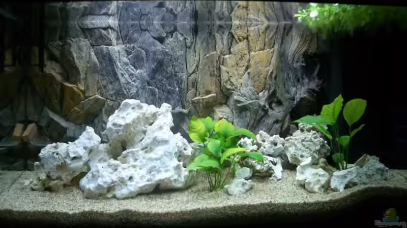 Aquarium Hauptansicht von Becken 780