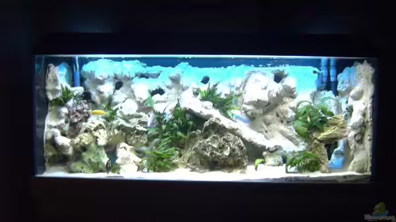 Aquarium Hauptansicht von Becken 7863