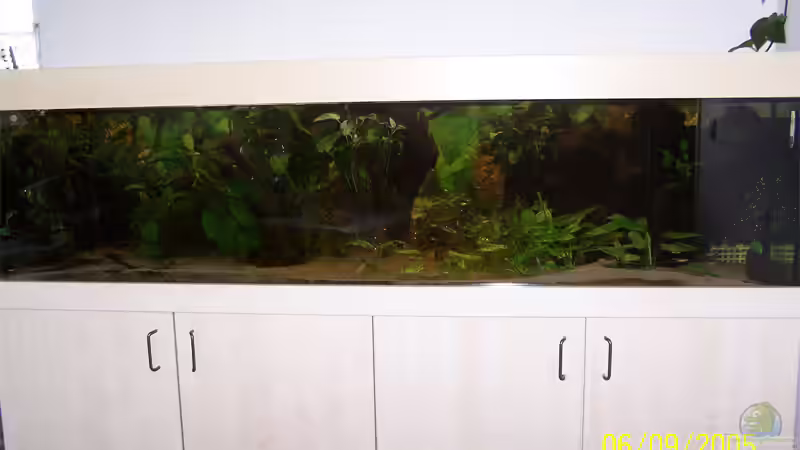 Aquarium Hauptansicht von Becken 787 von aus-Berlin (1)