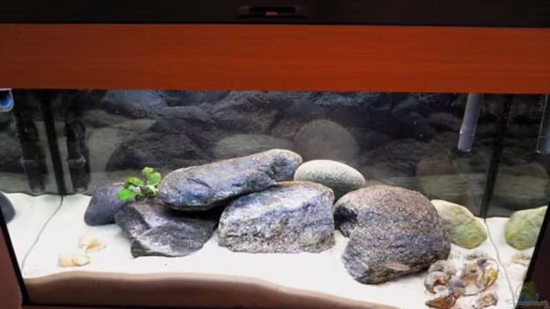 Aquarium Hauptansicht von Becken 788