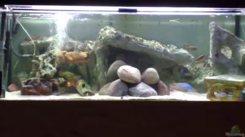 Aquarium Hauptansicht von Becken 7920