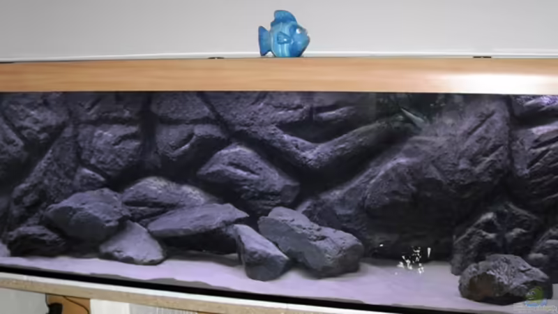 Aquarium Hauptansicht von Becken 8122 von Nimbo (1)