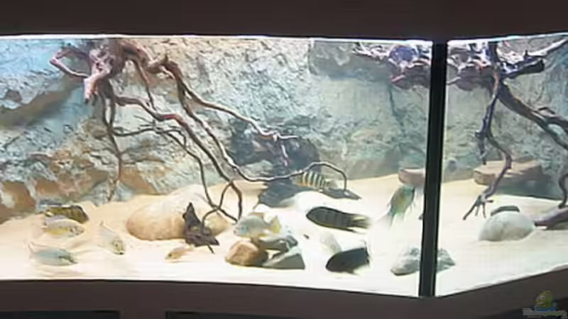 Aquarium Hauptansicht von Becken 8248 von Christian Rieke (1)