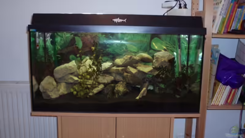 Aquarium Hauptansicht von Becken 8288 von Ocilares (1)