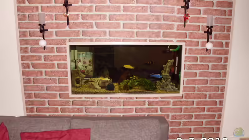 Aquarium Hauptansicht von Becken 8302 von André Lenz (1)