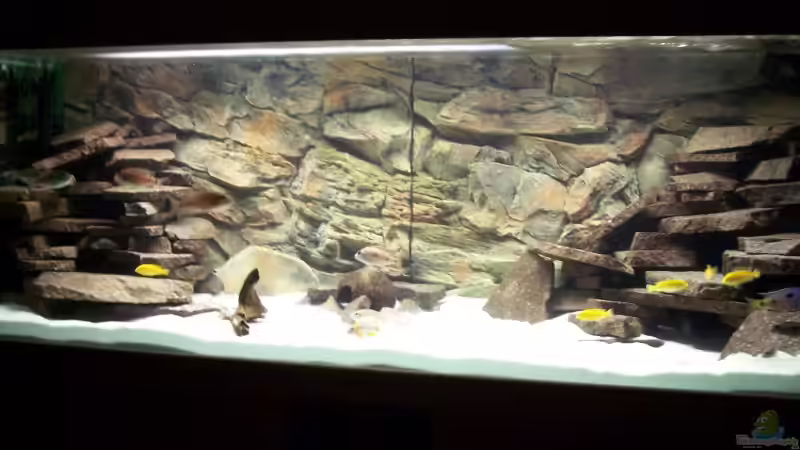 Aquarium Hauptansicht von Becken 8330