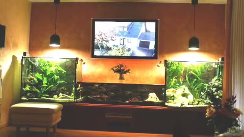 Aquarium Hauptansicht von Becken 8353 von Thomas Dresch (1)