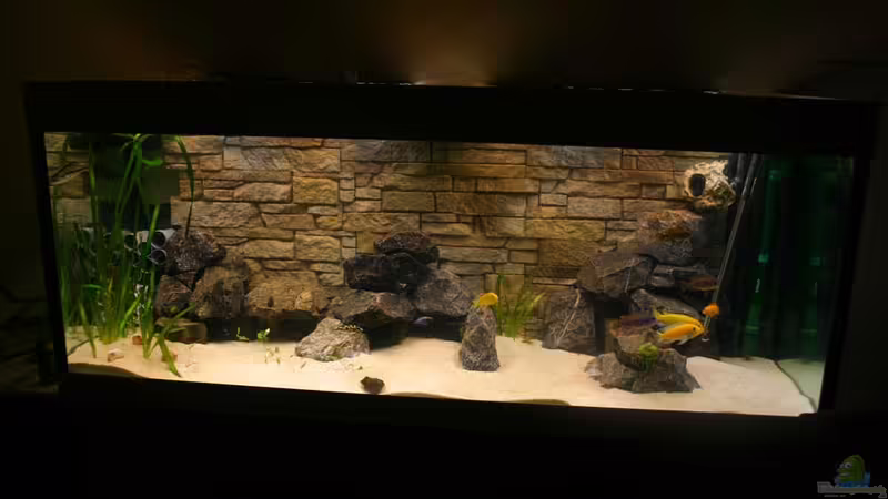 Aquarium Hauptansicht von Becken 862