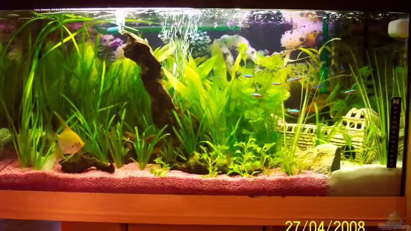 Aquarium Hauptansicht von Becken 8627