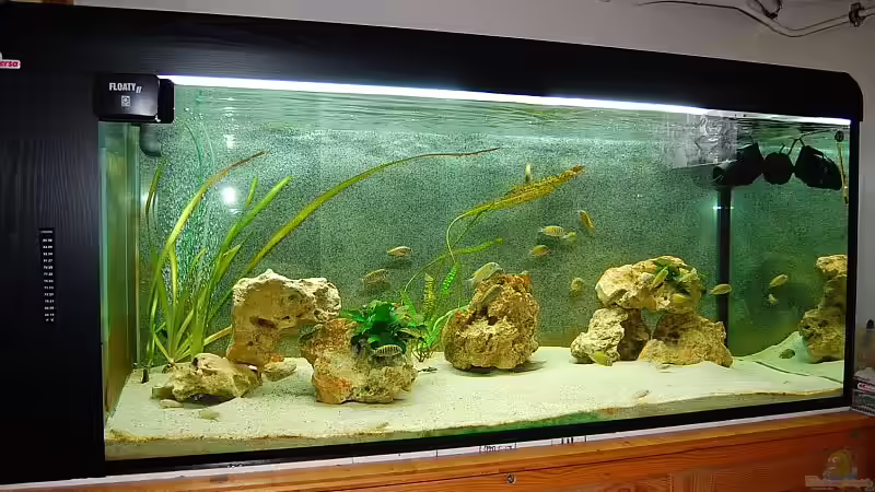 Aquarium Hauptansicht von Becken 893