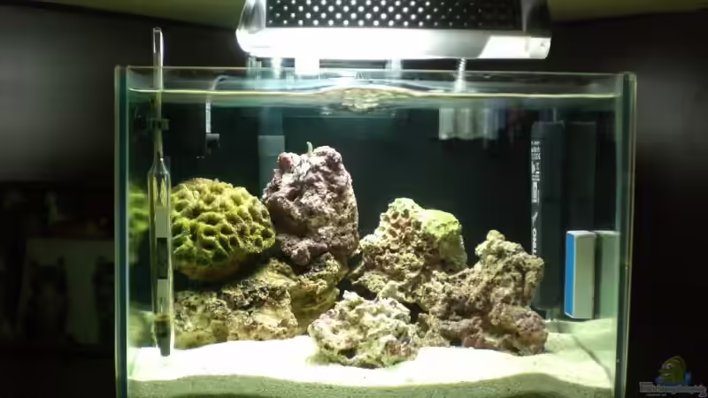 Aquarium Hauptansicht von Becken 8937 von rot08 (1)