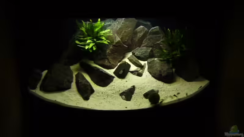 Aquarium Hauptansicht von Becken 9187 von xenomorphian (1)