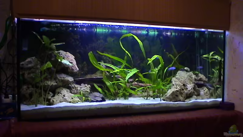 Aquarium Hauptansicht von Becken 92 von Enrico Radloff (1)
