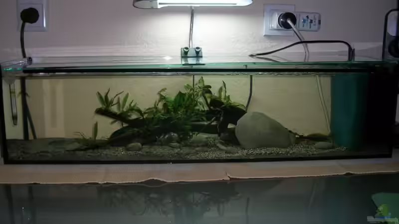 Aquarium Hauptansicht von Becken 9276 von Simon Bendrin (1)