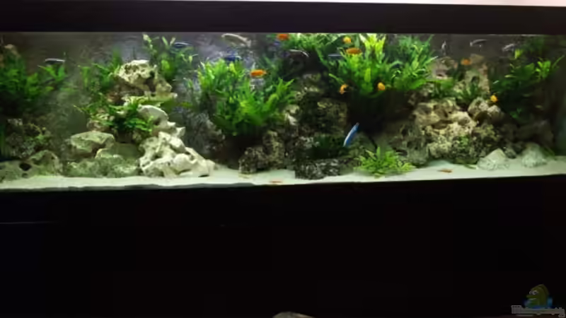 Aquarium Hauptansicht von Becken 9459