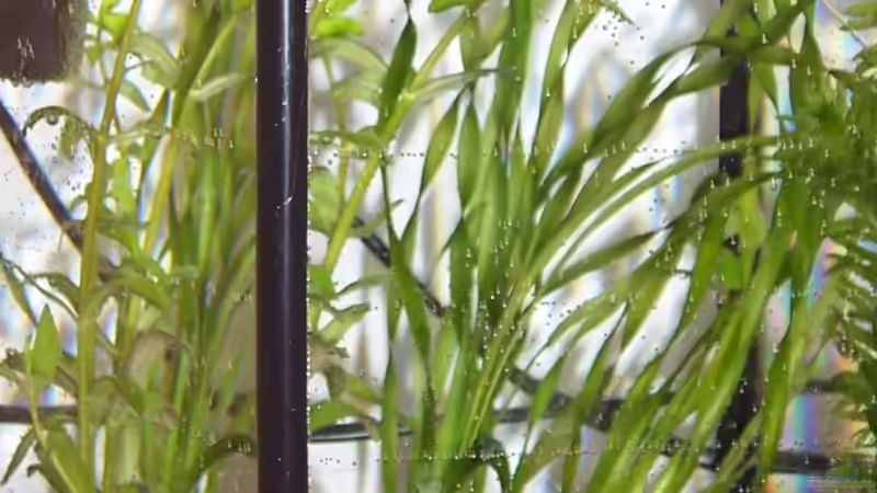 Aquarium Hauptansicht von Becken 9480 von Hendrik Dusza