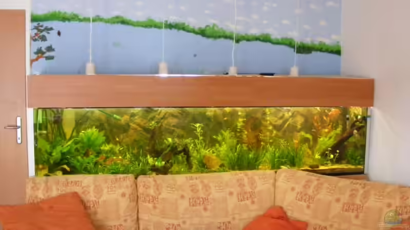 Aquarium Hauptansicht von Becken 9533 von Alex Weiß (1)