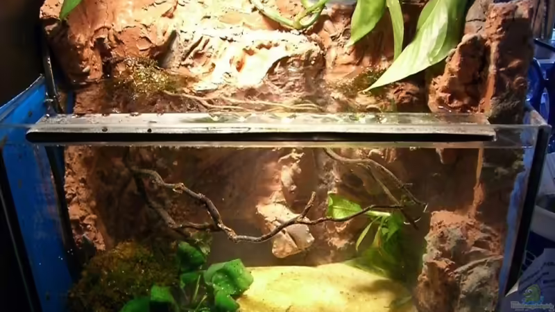 Aquarium Hauptansicht von Becken 9677 von Johannes (1)