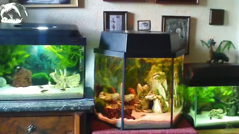 Aquarium Hauptansicht von Becken 9709