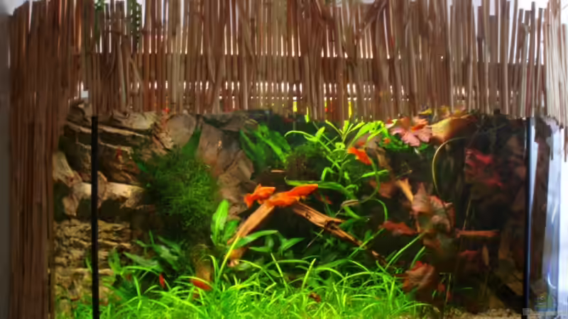 Aquarium Hauptansicht von Becken 9721