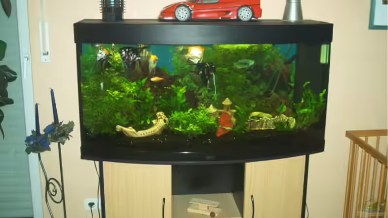 Aquarium Hauptansicht von Becken 976