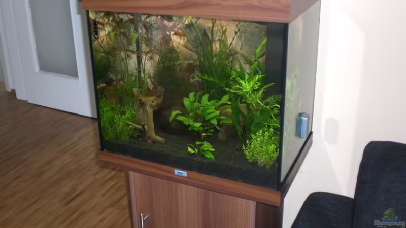 Aquarium Hauptansicht von Becken 9794 von Marcel Szesny (1)