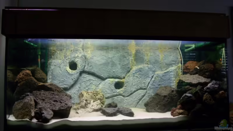 Aquarium Hauptansicht von Becken 9976 von Lollidda