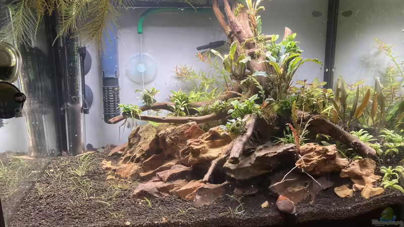 Aquarium Hauptansicht von Blues Reich von Dennis Schönberg (1)