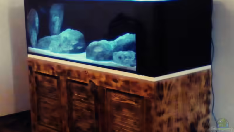 Aquarium Hauptansicht von Brauche Hilfe bei Besatzung von PAO (1)